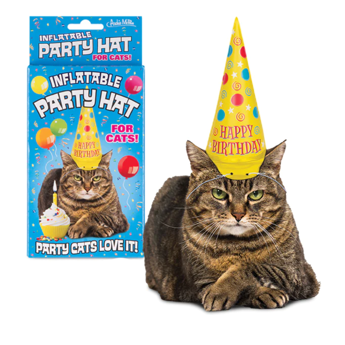 Cat Party Hat