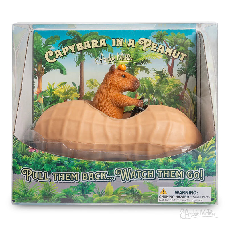 Capybara in a Peanut