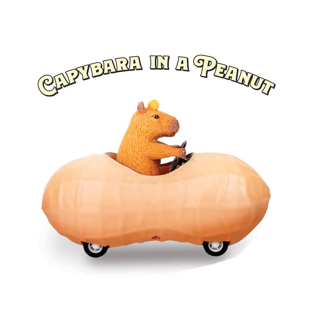 Capybara in a Peanut