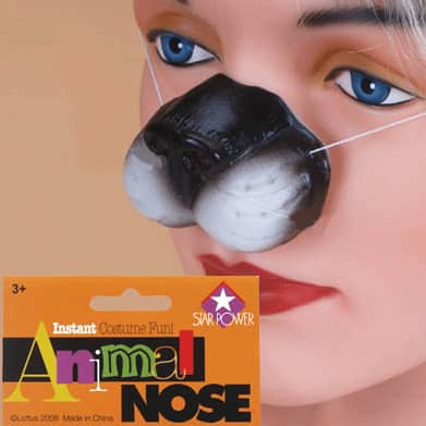 Cat Nose