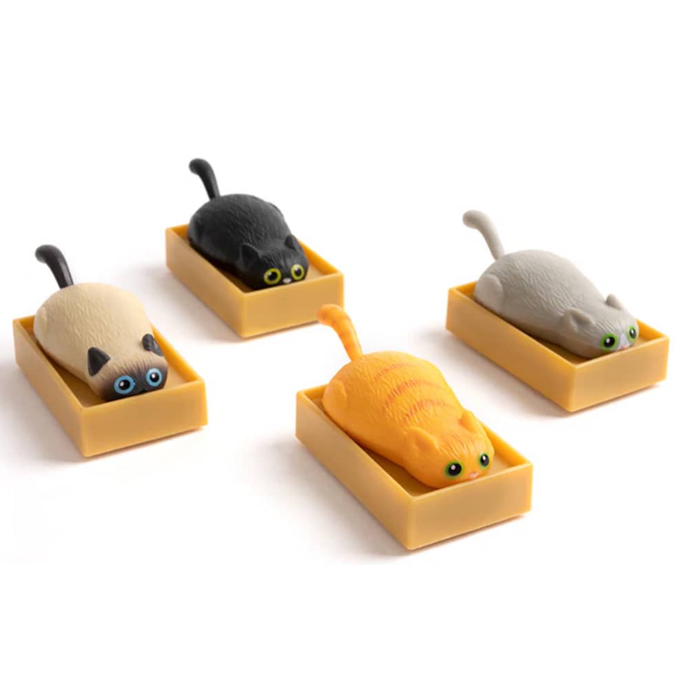 Racing Cats in Boxes