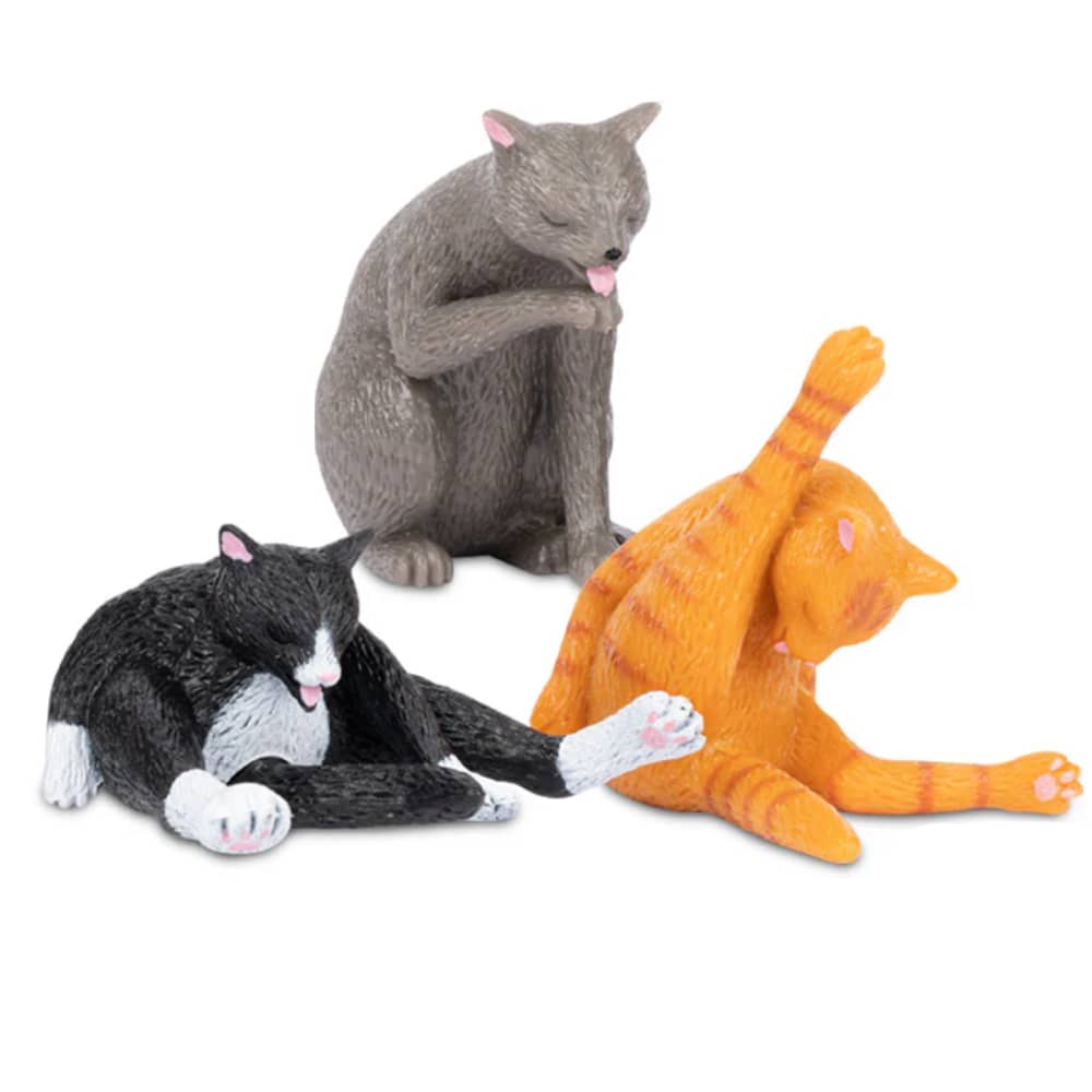 Cleaning Kitties