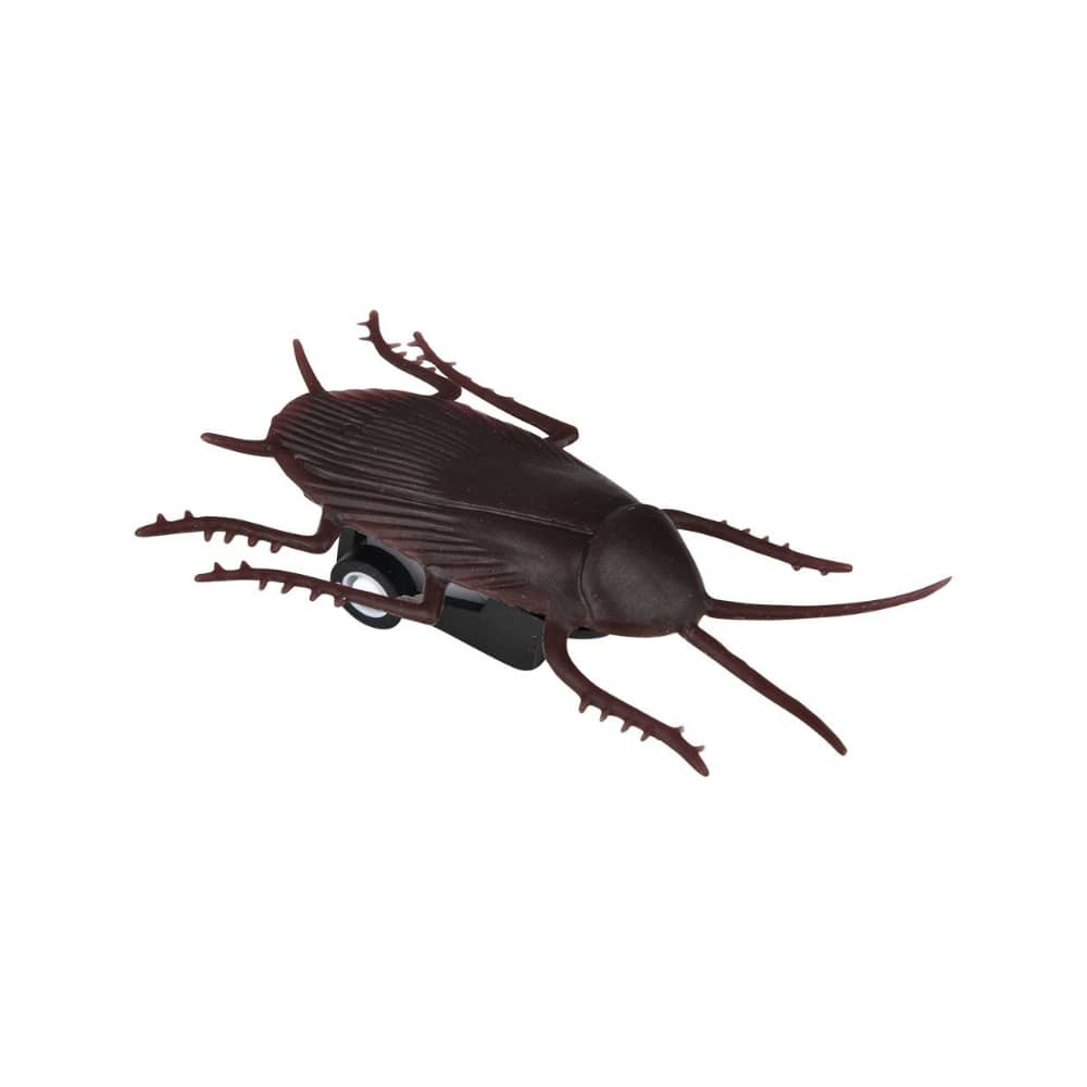 Speedy Cockroach