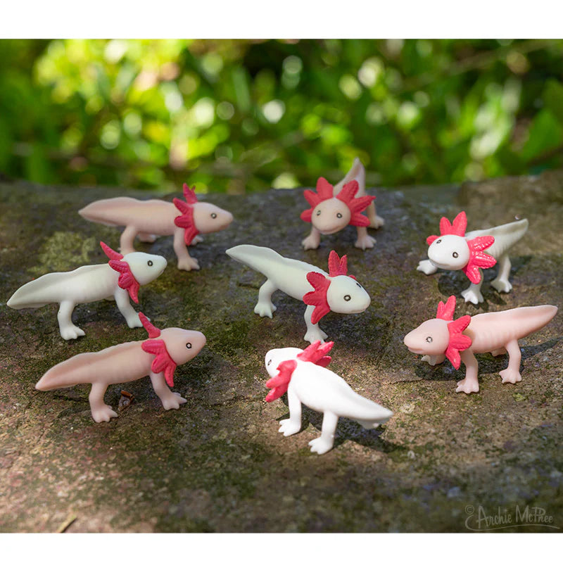 Itty Bitty Axolotls