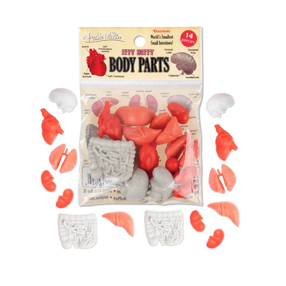 Itty Bitty Body Parts