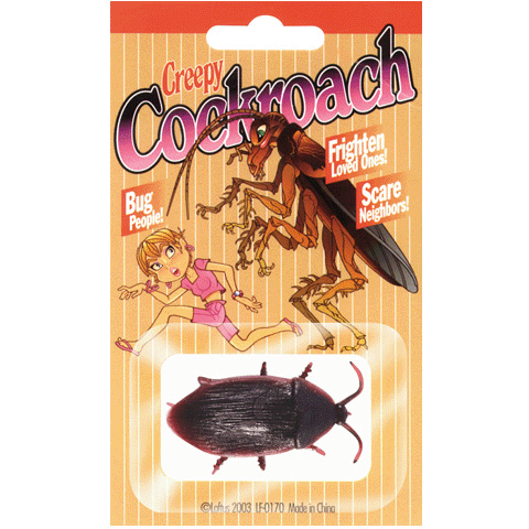 Fake Cockroach