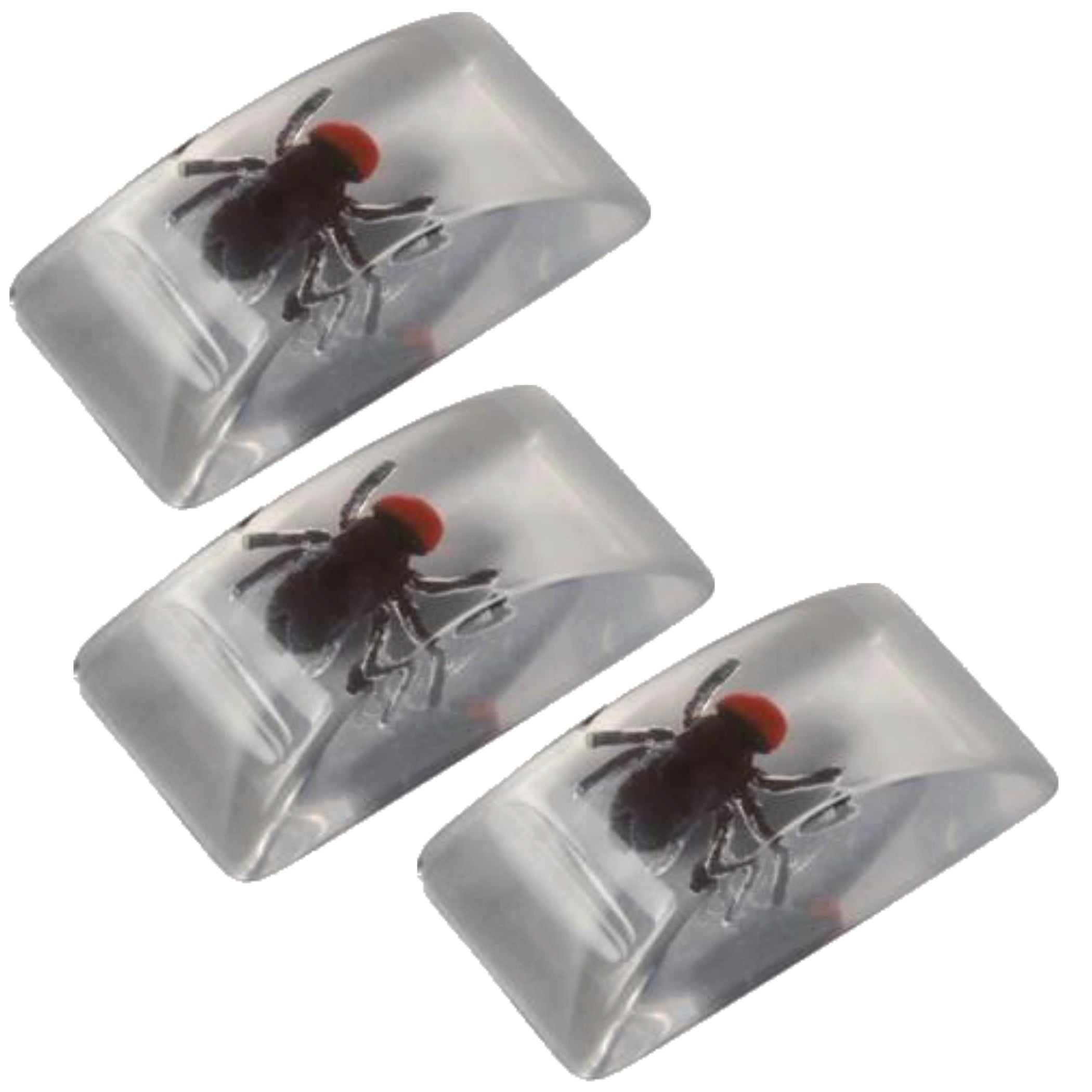 Bug In Ice Cube 3 pack - GagWorks