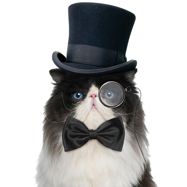 Bow Tie For Cats